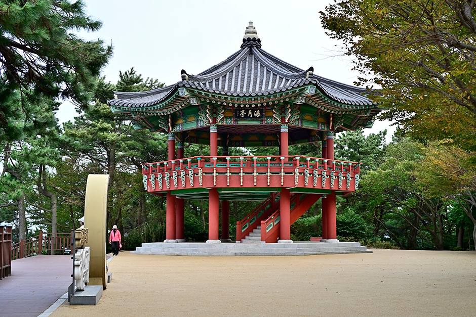 달맞이동산