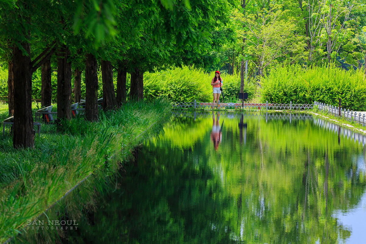 Mirror Pond