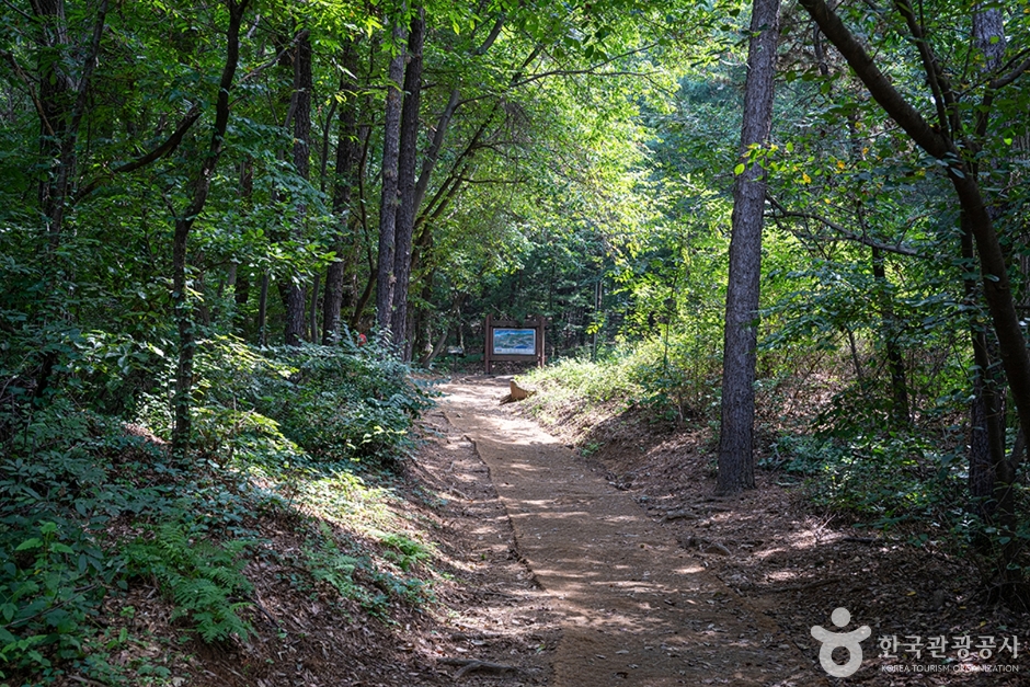 서봉산산림욕장
