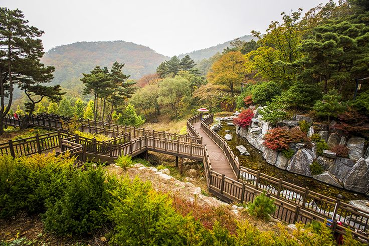 Yangpyeong Swjapa Park