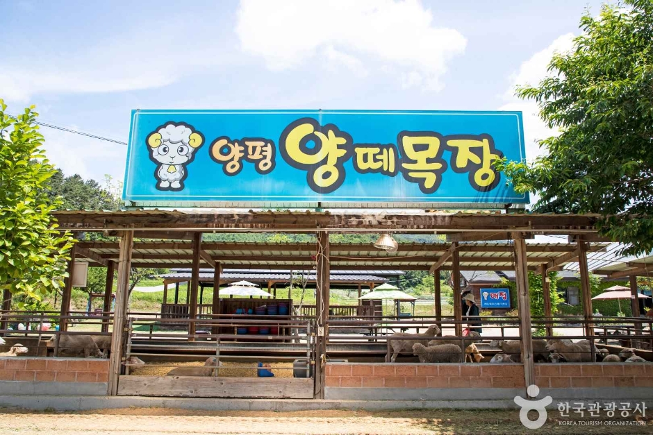 Yangpyeong Yangtte牧場