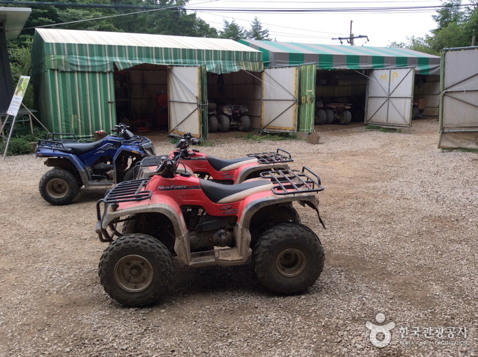 X Life ATV