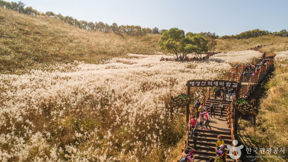 Myeongseong Mountain Eulalia Meadow