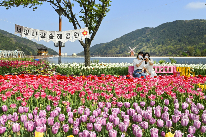 Songhae Park