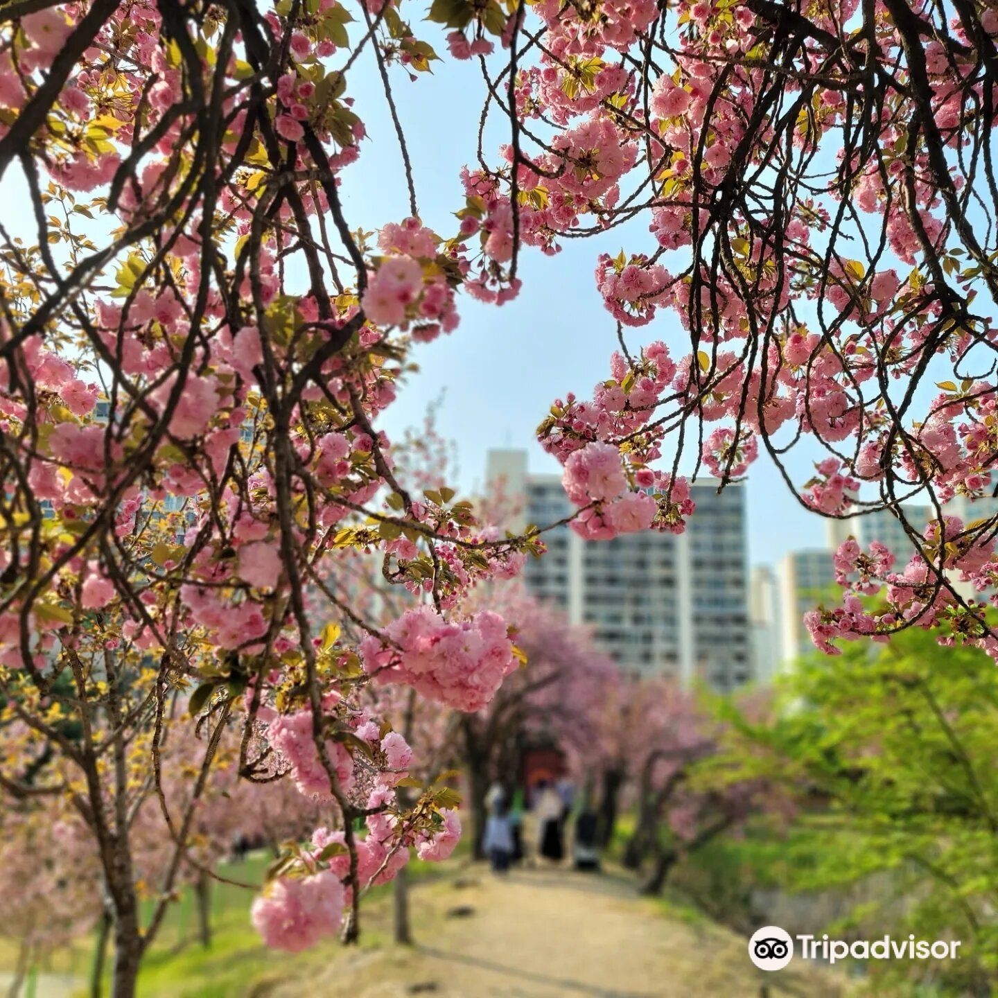 월곡역사공원