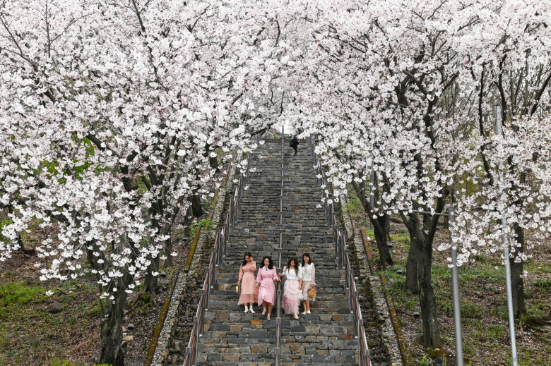 침산공원