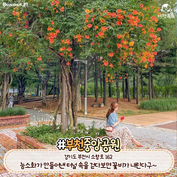 Bucheon Jungang Park
