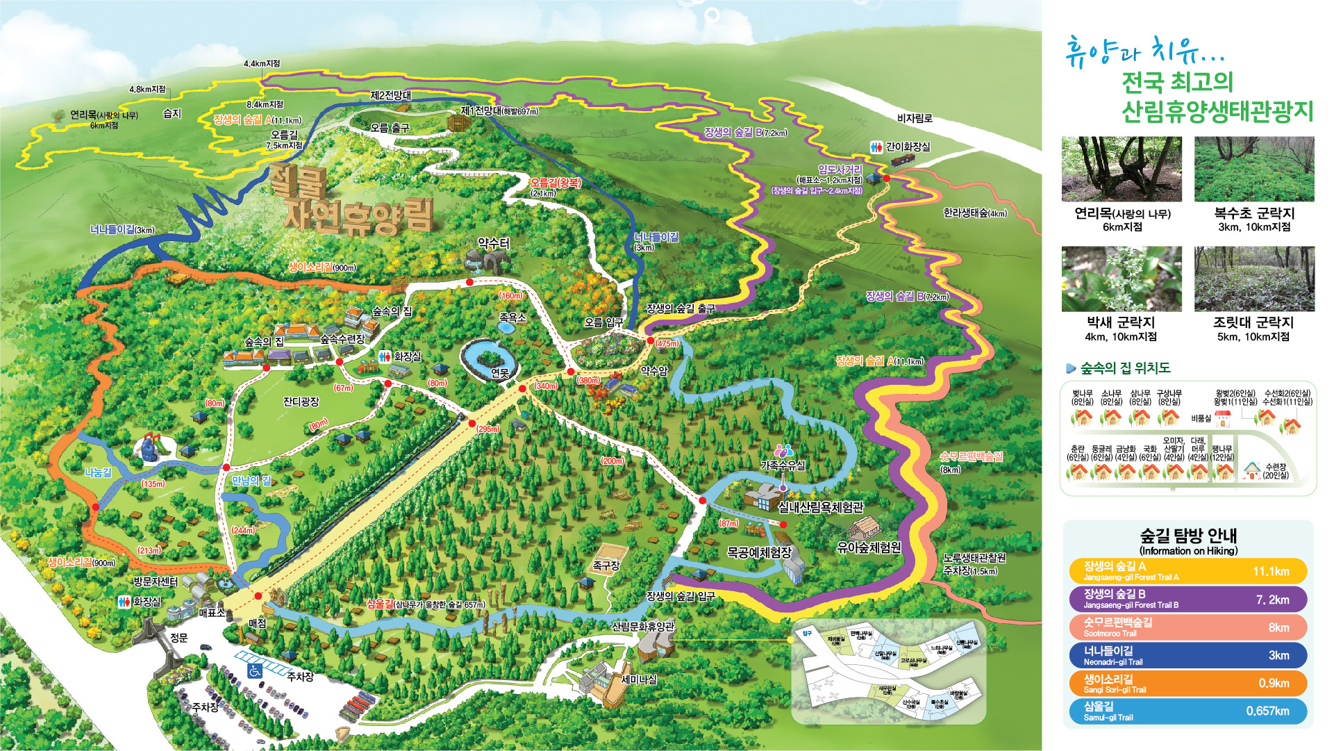 Jeju Jeolmul Natural Recreation Forest