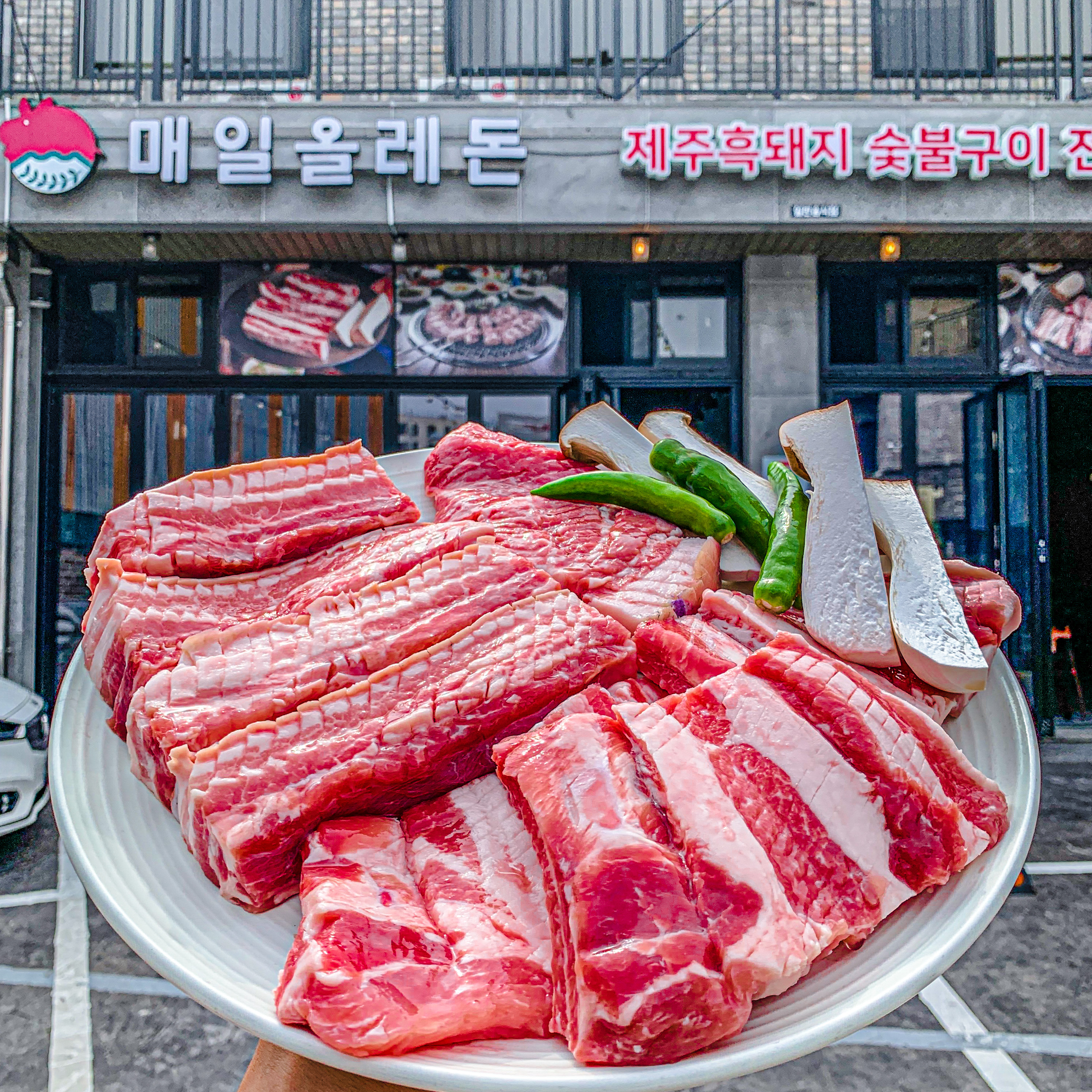 매일올레돈