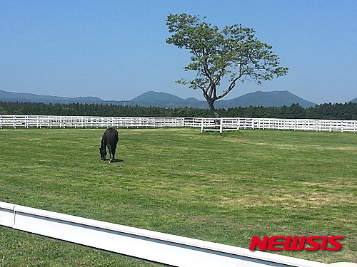Letsrun Farm Jeju Ranch