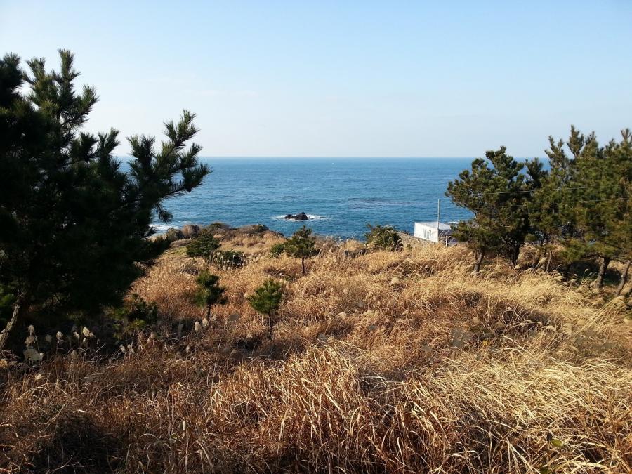 Seomeri Dodubong Park