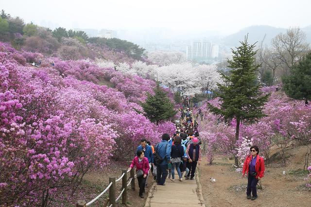 원미산