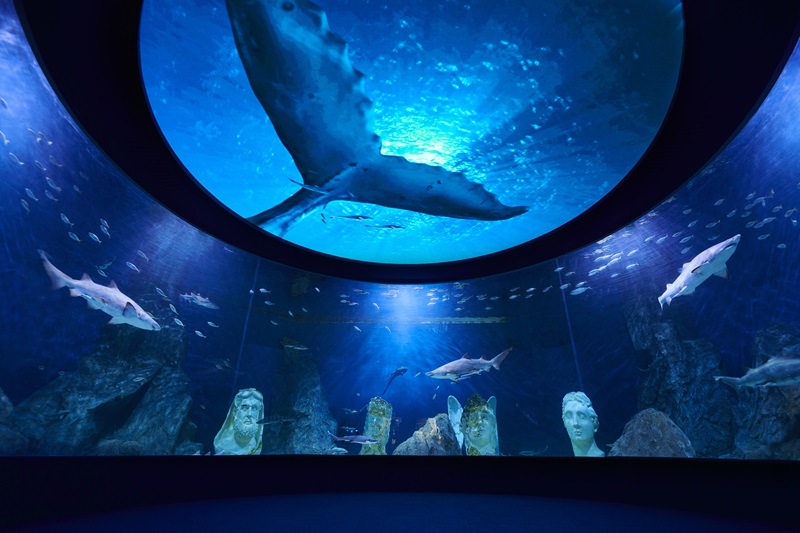 Daejeon Expo Aquarium