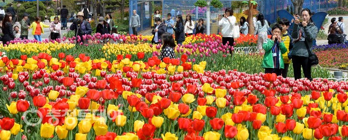 Daejeon O World Flower Land