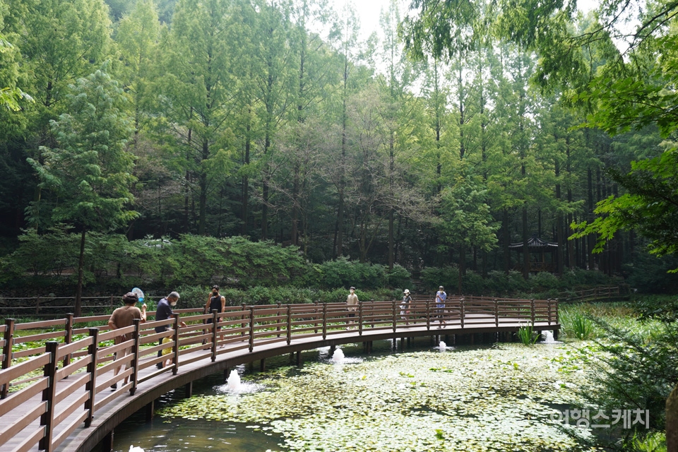 Jangtaesan Natural Recreation Forest