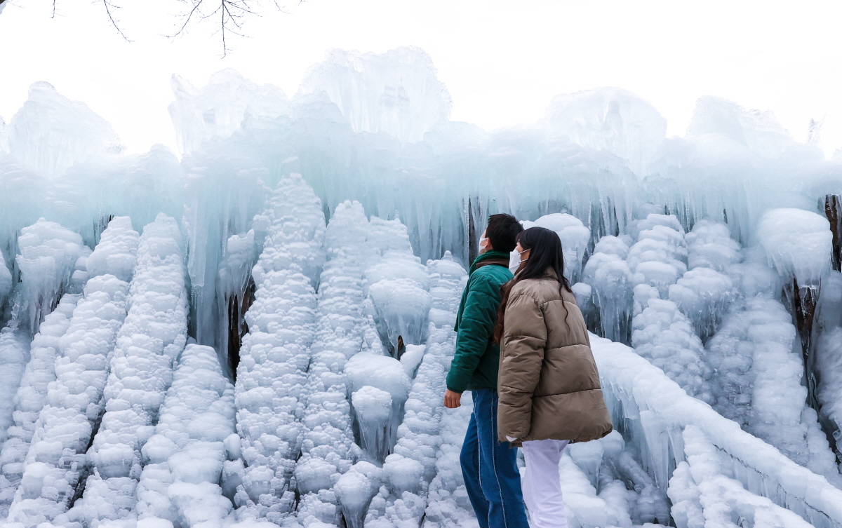 Sangso Forest Bathing Area