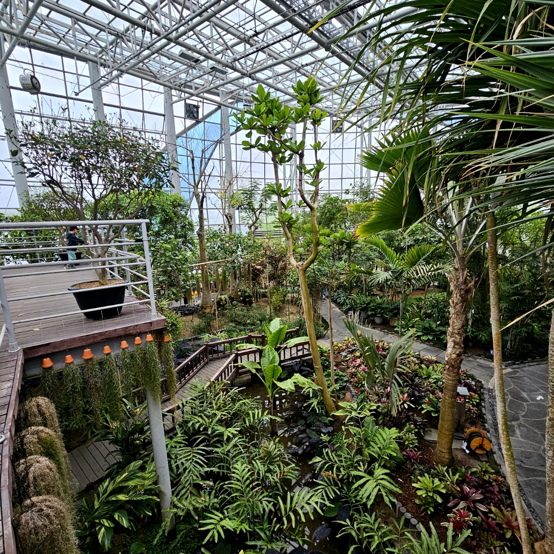 Hanbat Arboretum Tropical Plant Garden