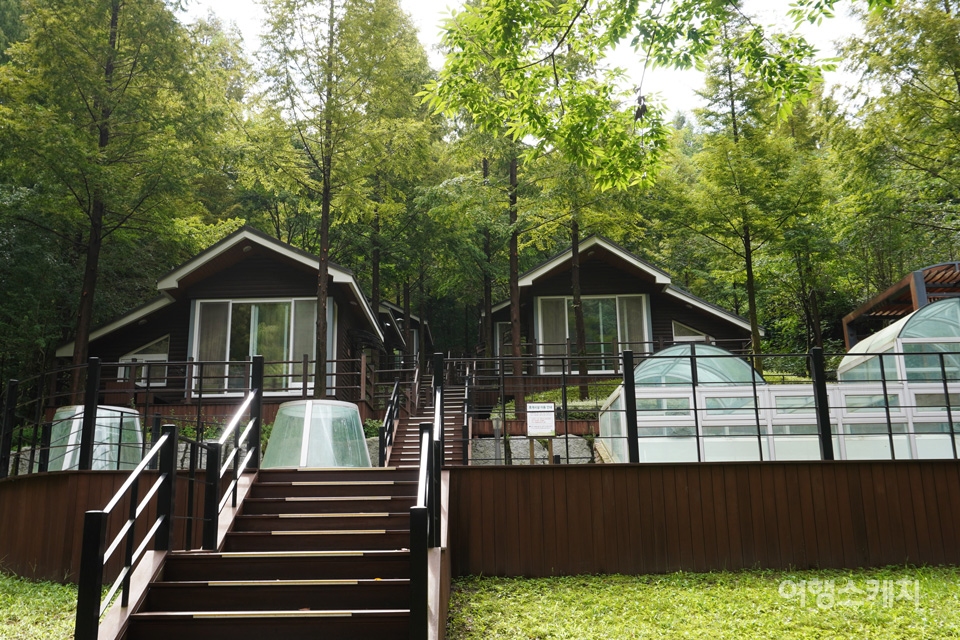 Jangtaesan Natural Recreation Forest Forest Adventure