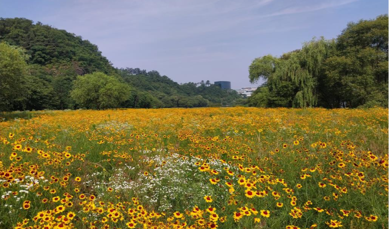 Geumho River Natural Ecology Park