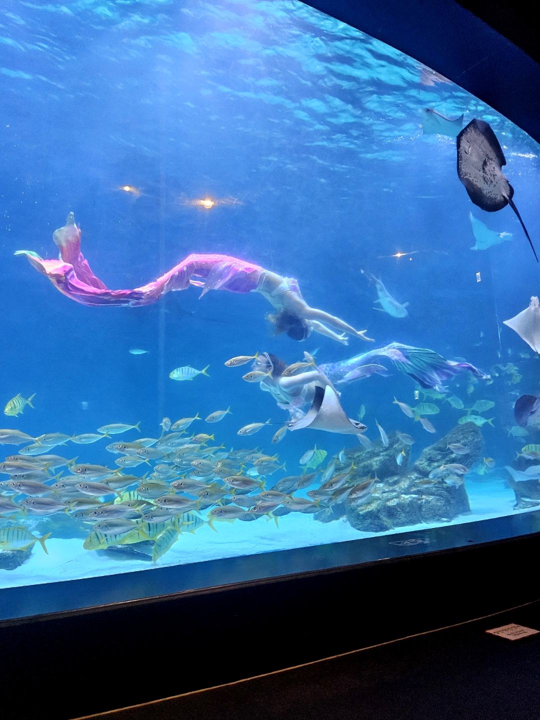 Daegu Aquarium
