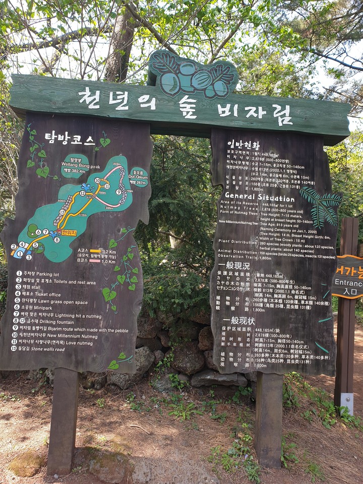 비자림