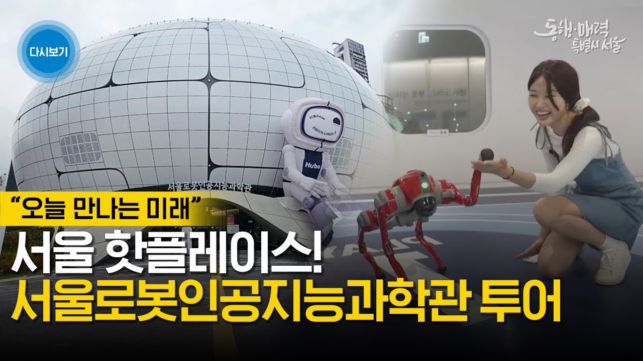 Seoul Bot Robot and AI Science Museum