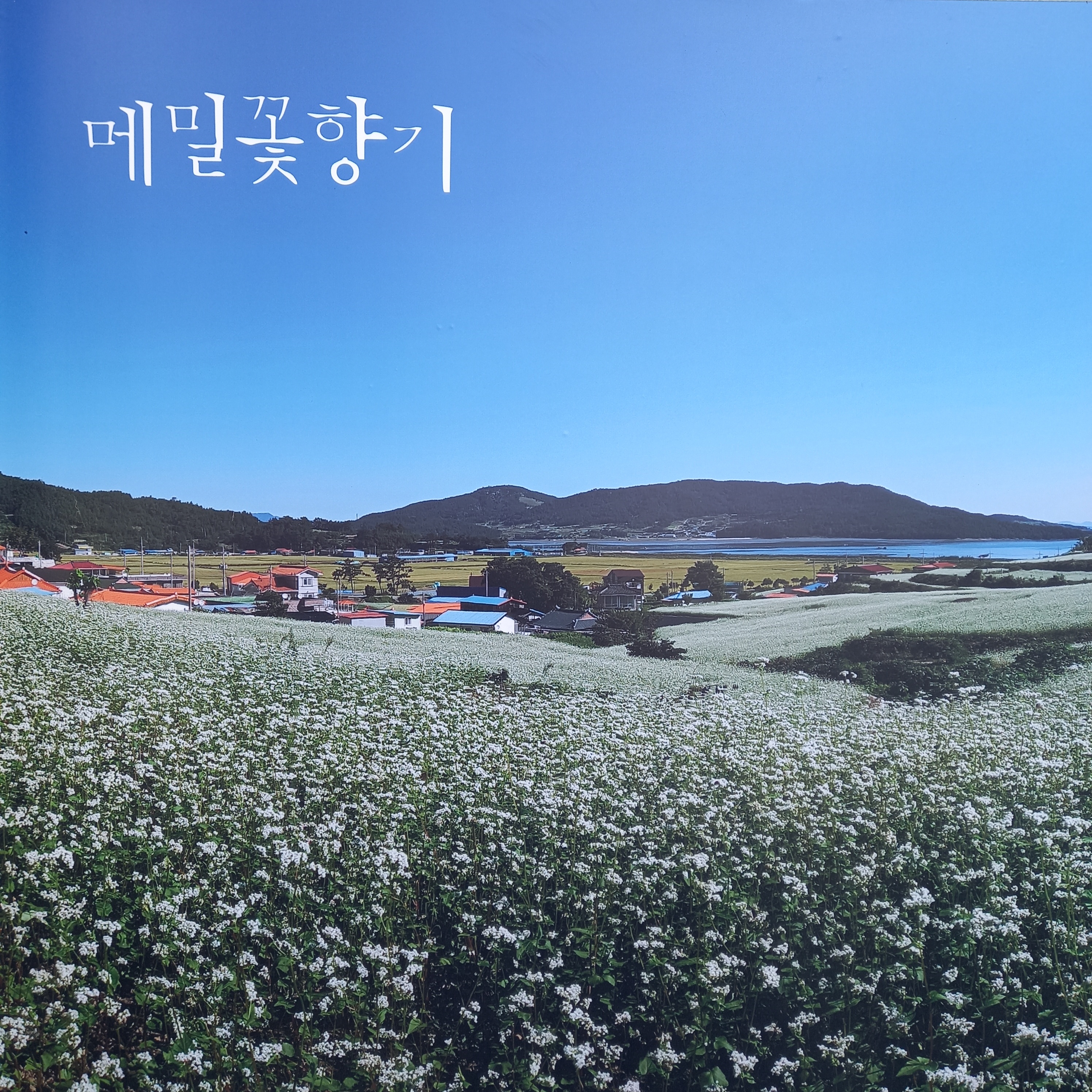 Memilkkot Hyanggi