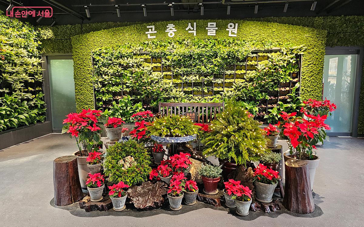Seoul Forest Insect and Plant Garden