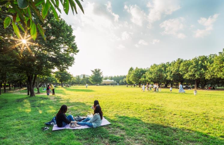 Seoul Forest Family Yard