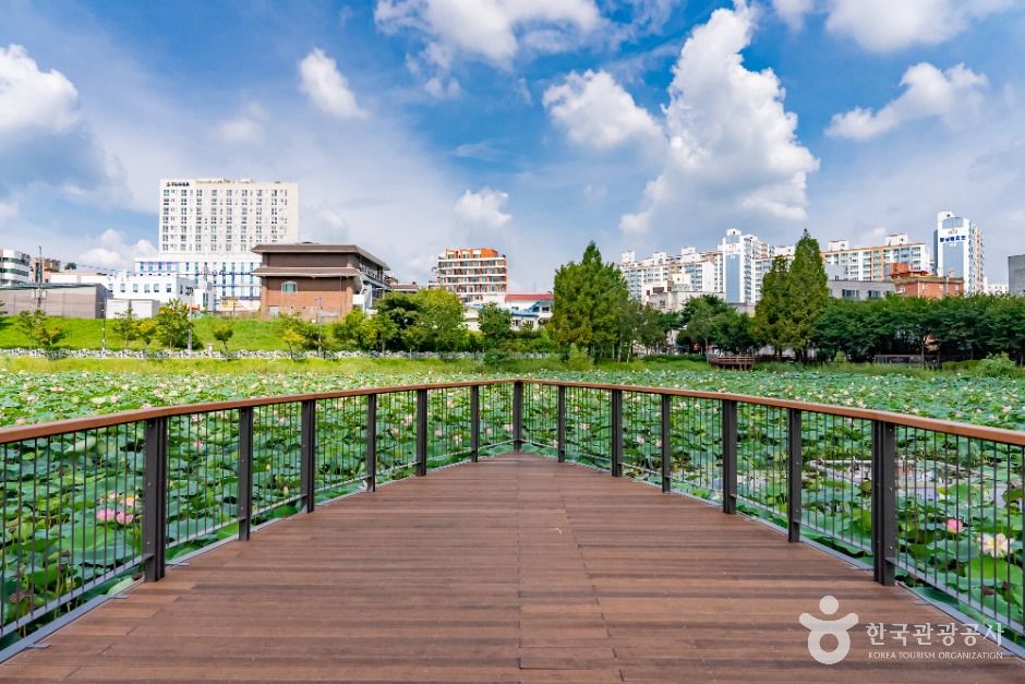 봉담 호수공원