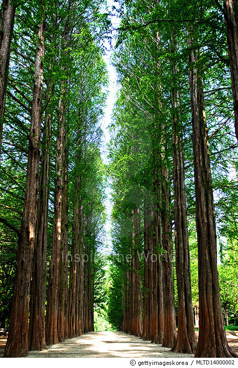 Nami Island
