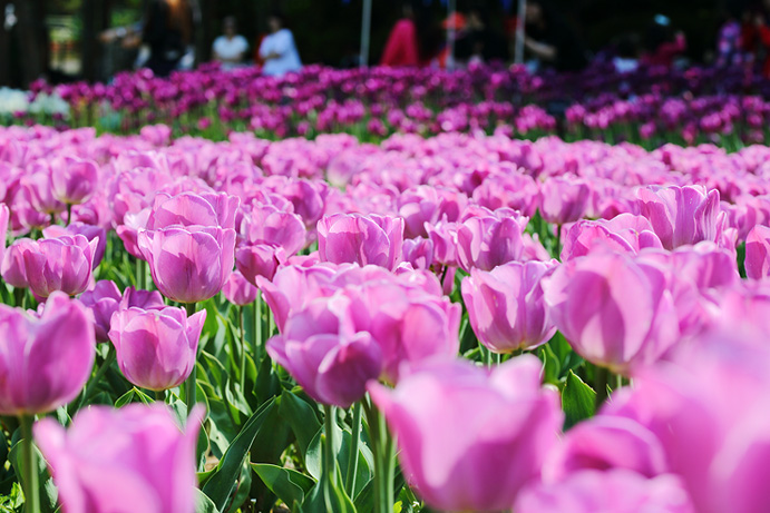 Bucheon Natural Ecology Park