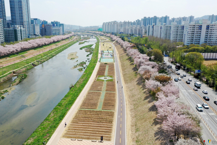 Gwangmyeong Anyangcheon