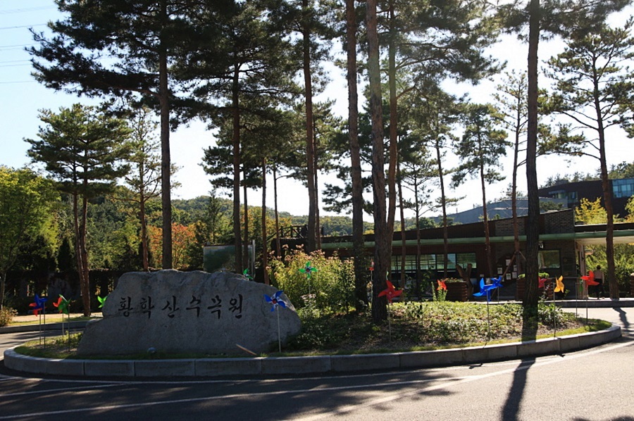 Hwanghaksan Arboretum