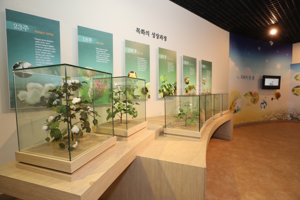 목면시배유지