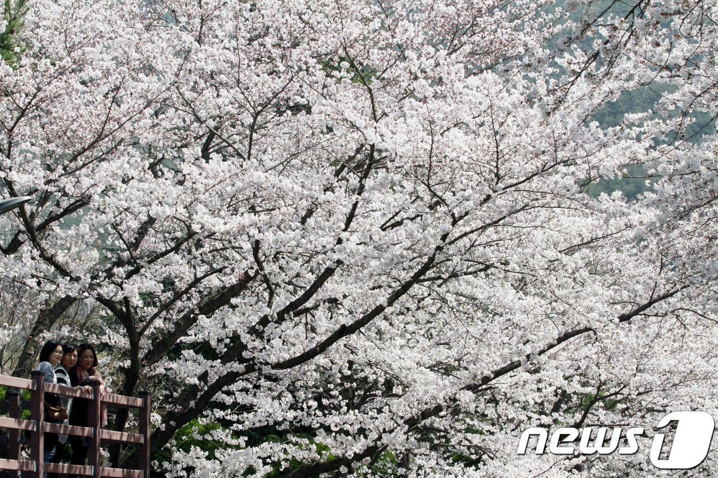 삼랑진양수발전소