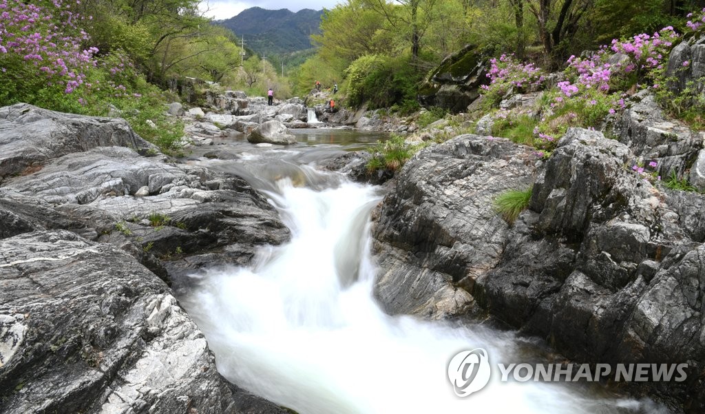 월성계곡