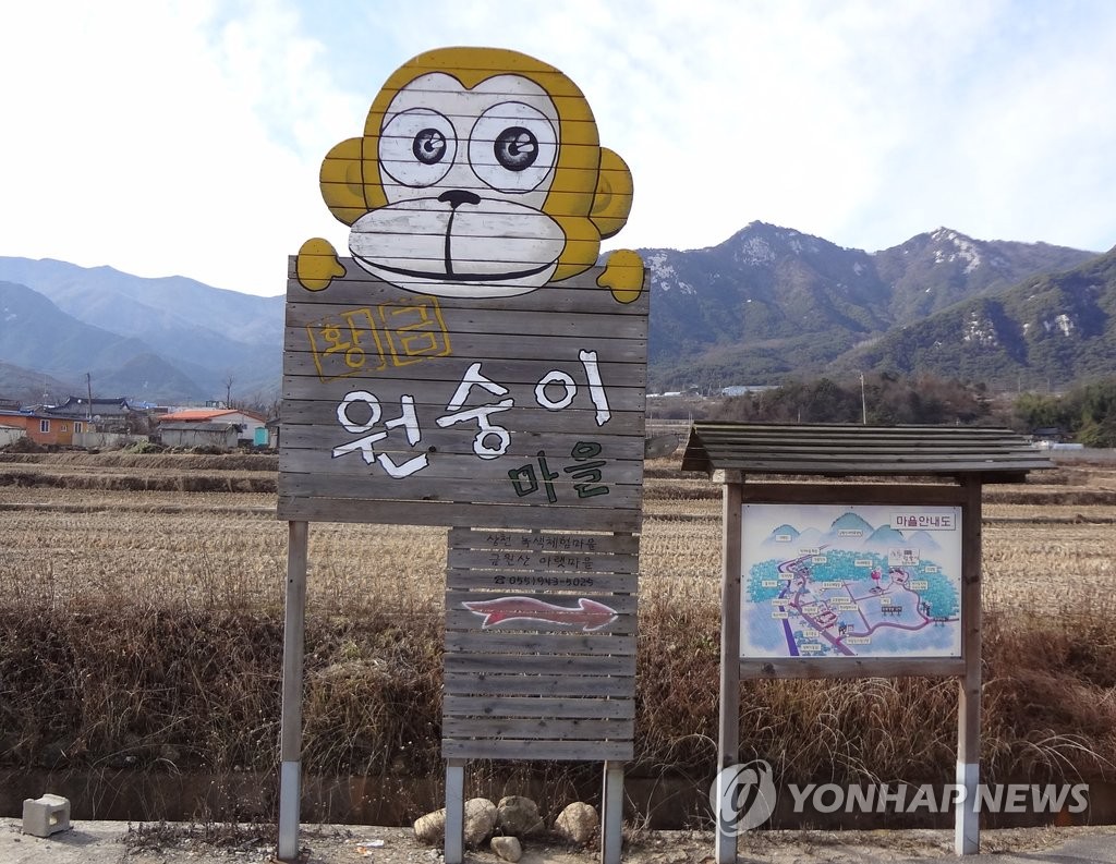 거창 황금원숭이마을
