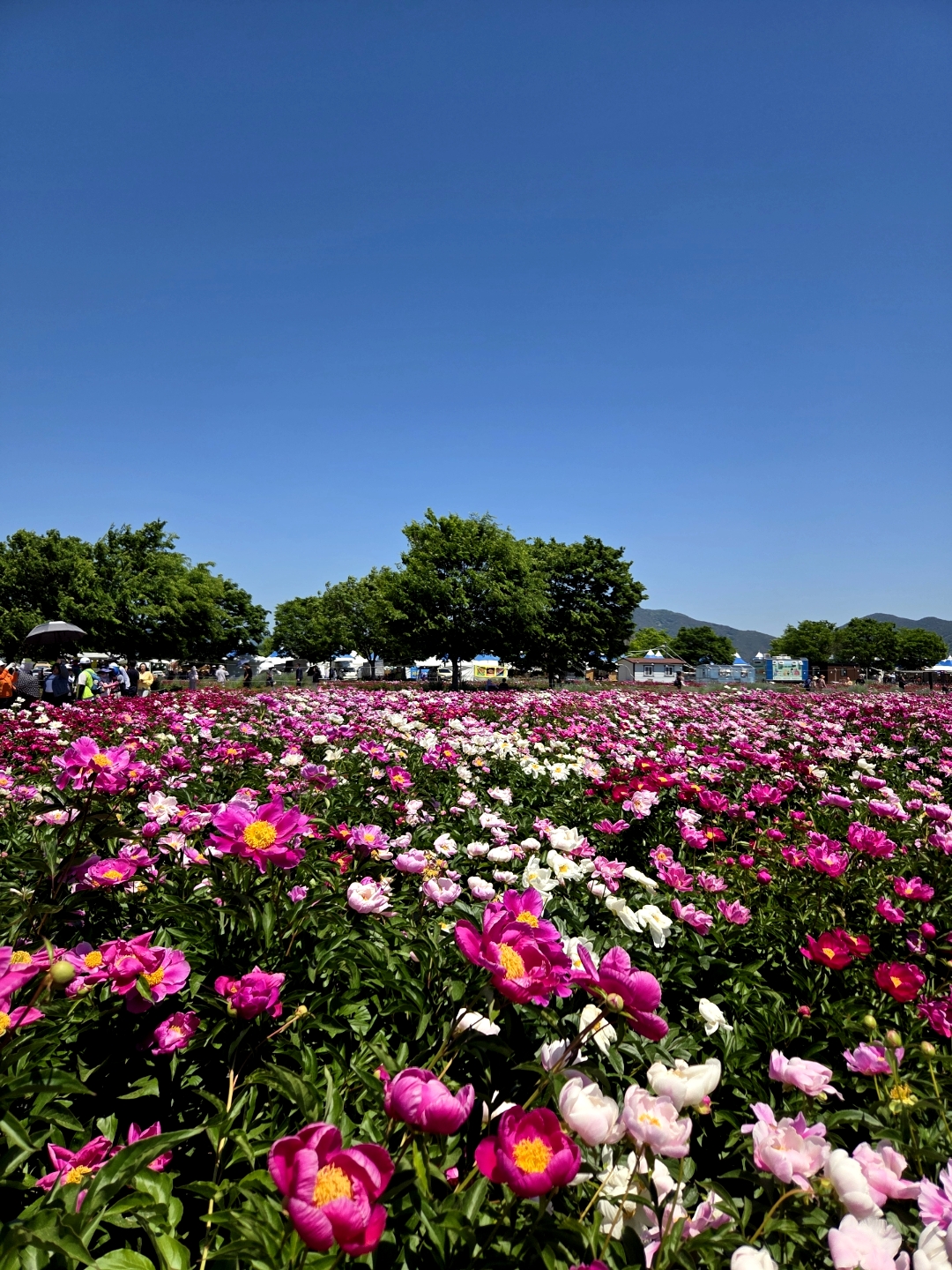 Gangnaru Ecological Park