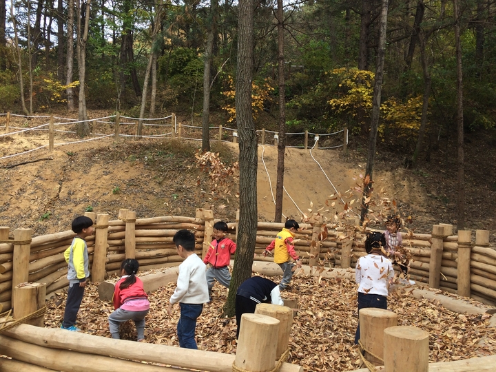 Parangsae Children's Forest Experience Center