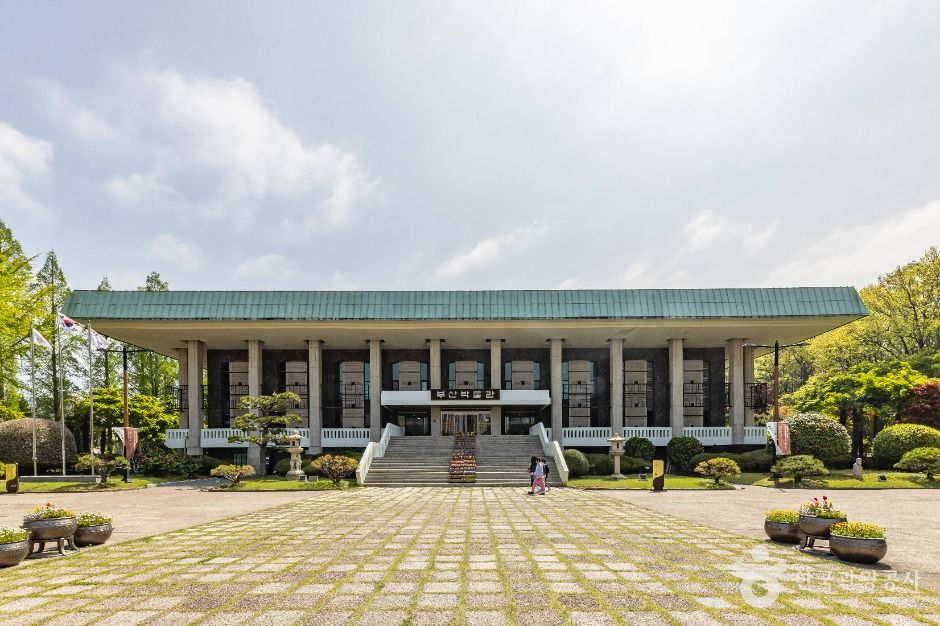 Busan Museum