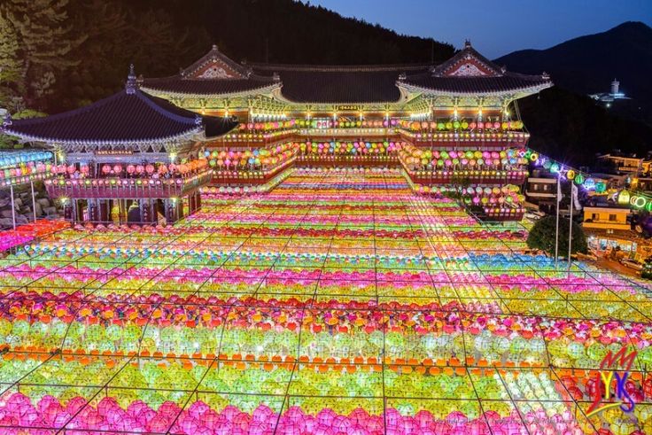삼광사