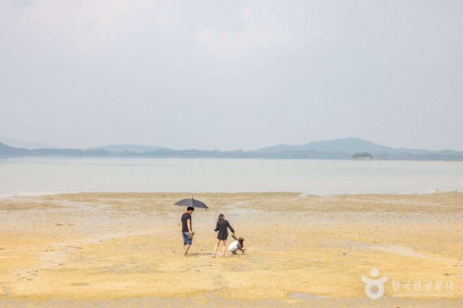 홀통해변