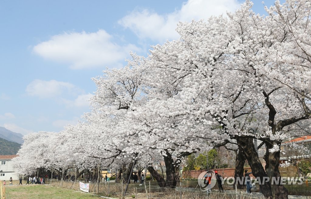 작천정