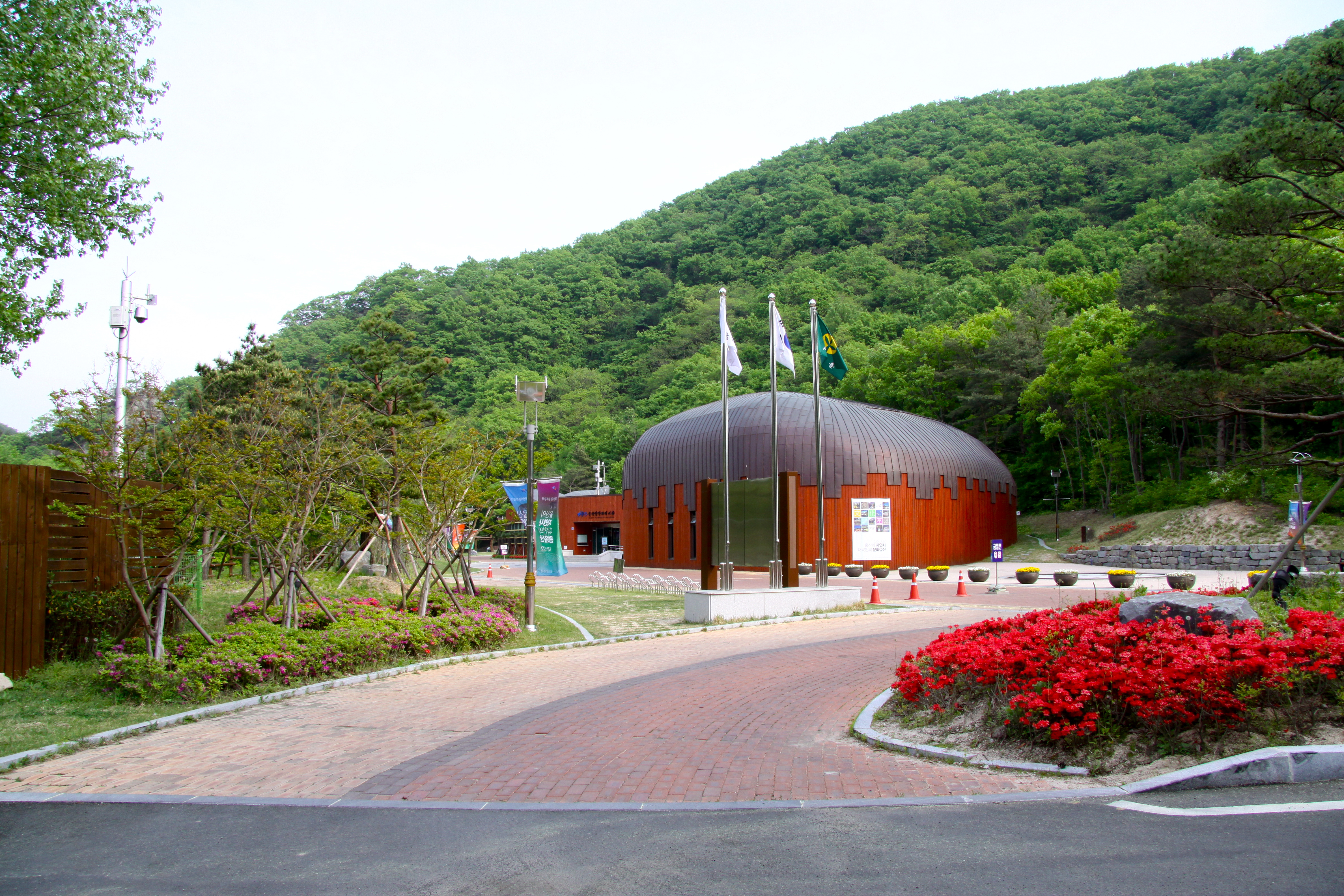 울산암각화박물관