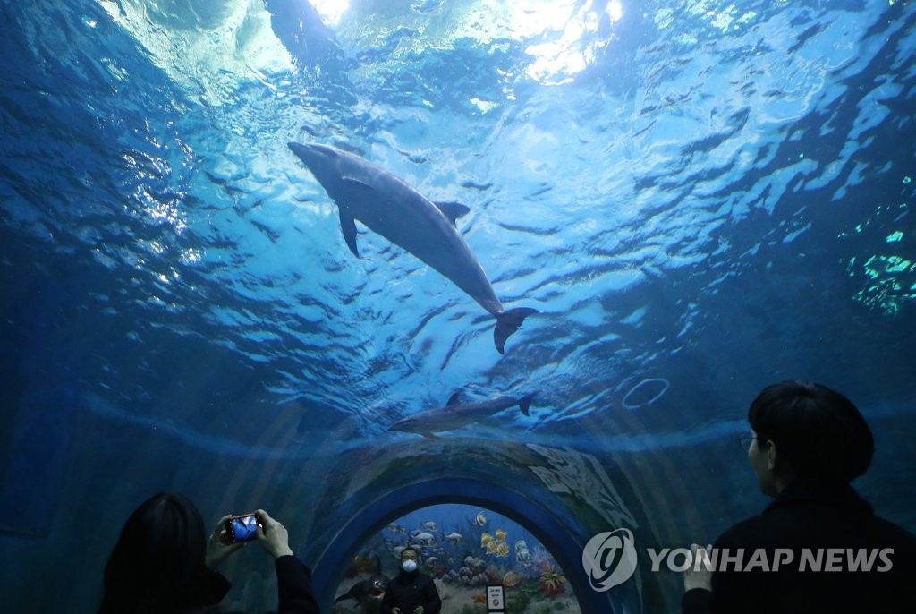 고래생태체험관
