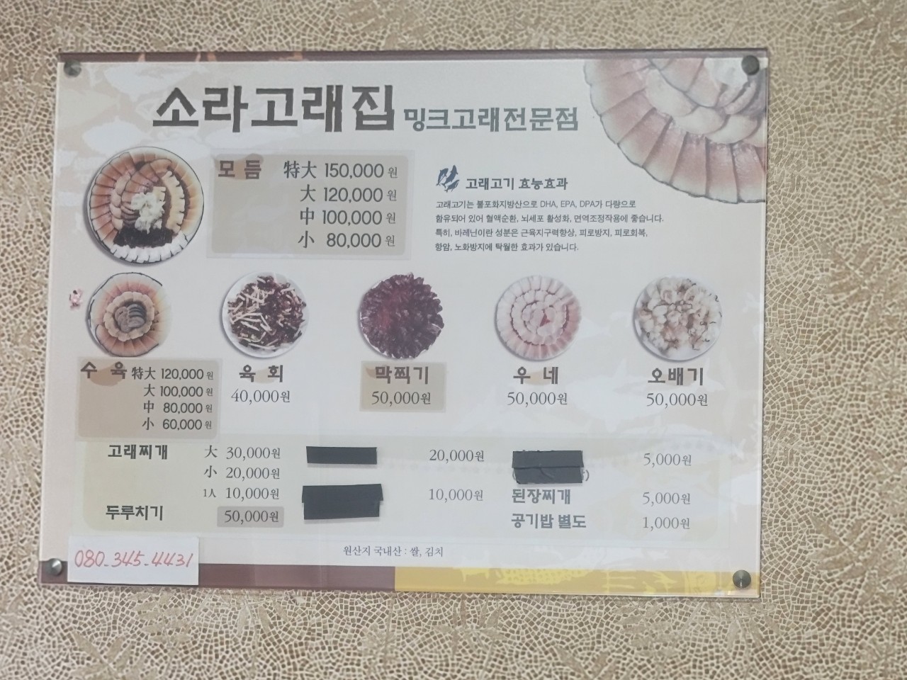 소라고래집