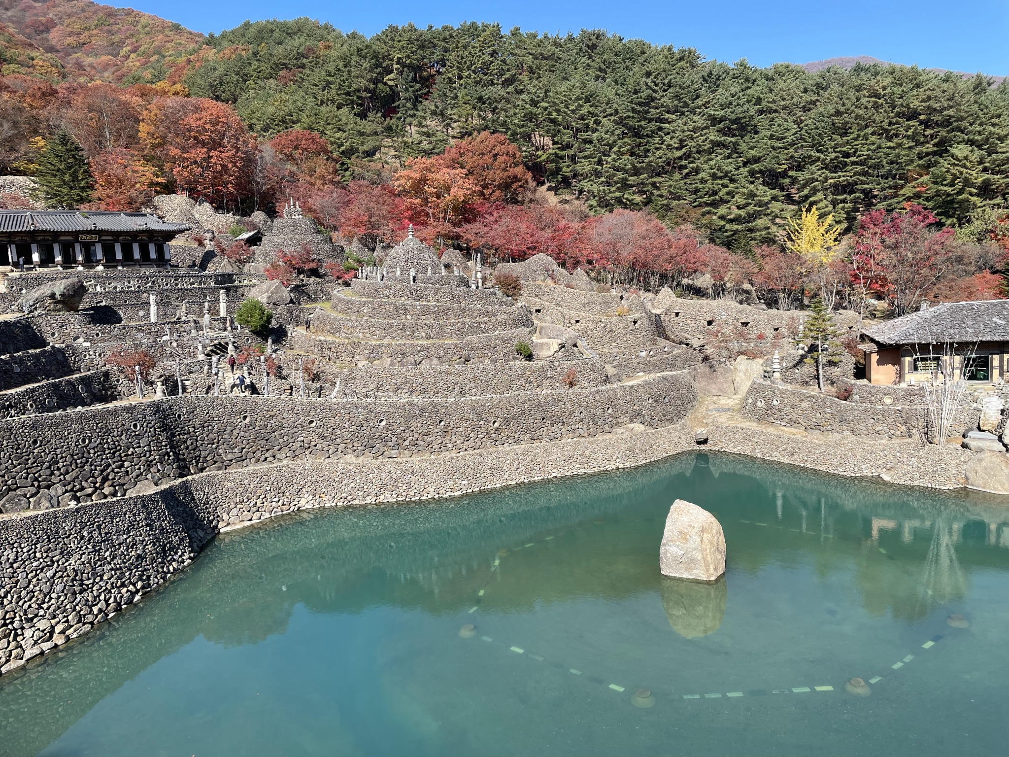 삼성궁1분 자연산장