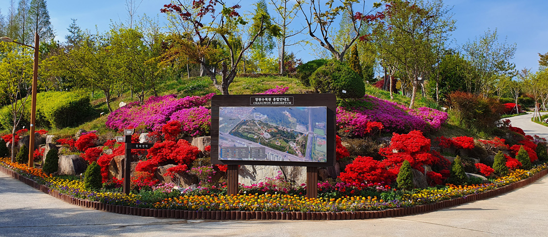 Changwon Arboretum