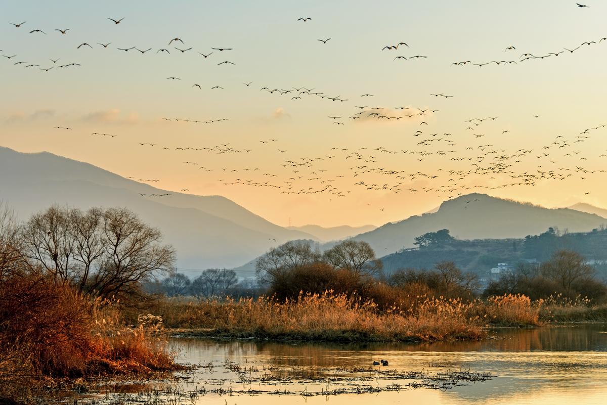 Hwapocheon Wetland Ecological Park